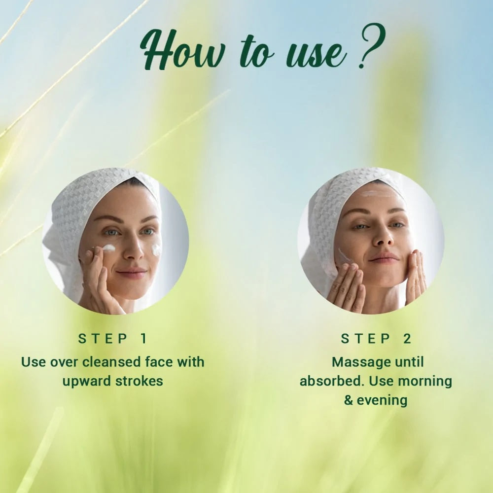 Biotique Wheatgerm Anti-Ageing Night Cream for Normal to Dry Skin - 50 gms