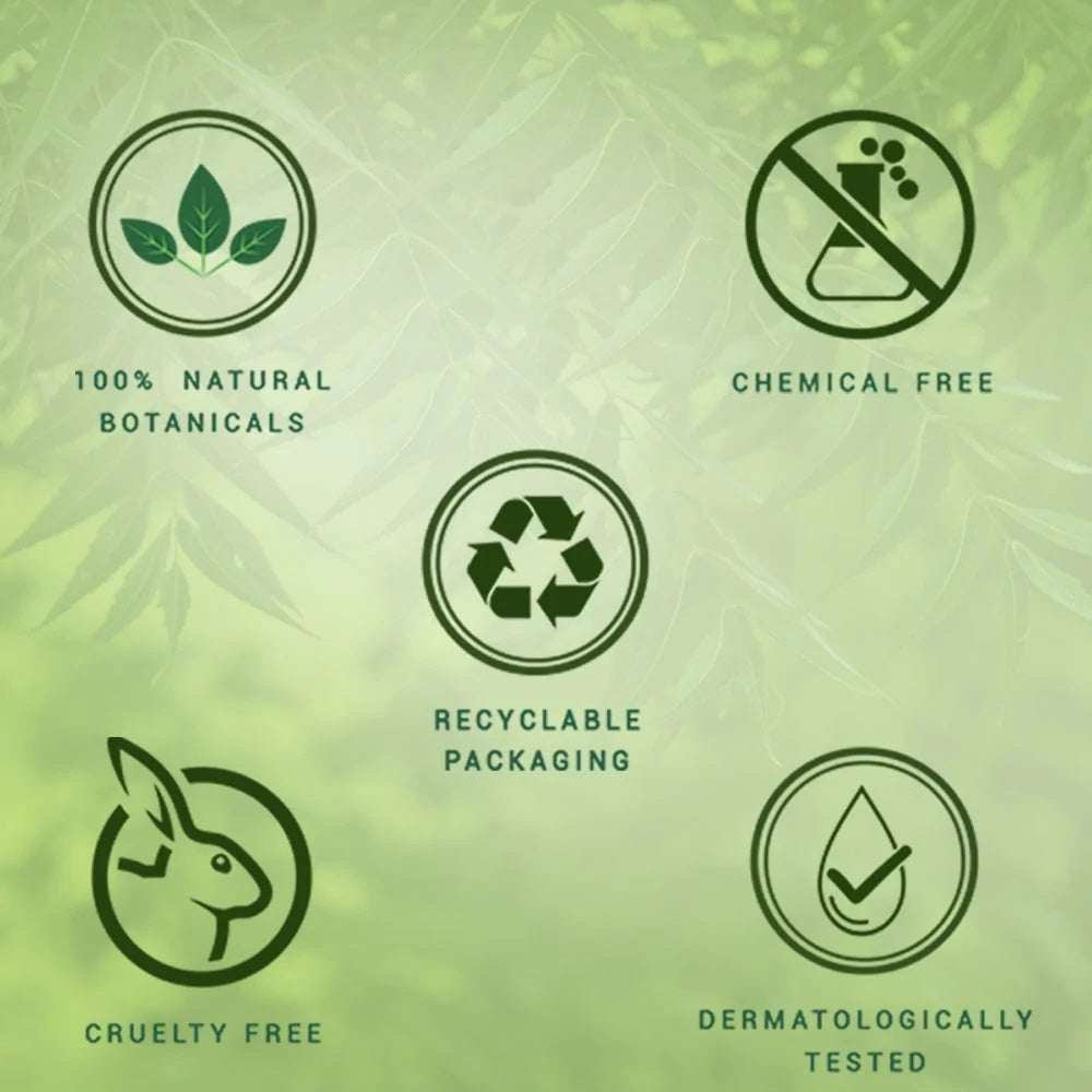 Biotique Wheatgerm Anti-Ageing Night Cream for Normal to Dry Skin - 50 gms