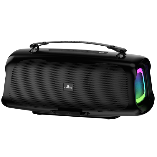 Boomer FX Pro 30W High Fidelity Speaker