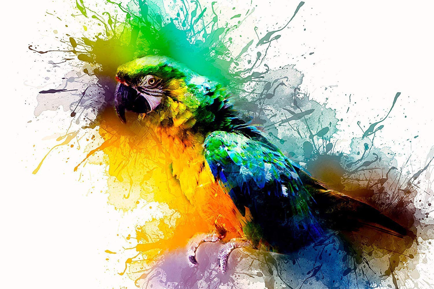 Brustro Artists Watercolour Pan Set of 25 with Artist 25% Cotton Watercolour Pad Cold Pressed 200 GSM A4 Pad 20 Sheets