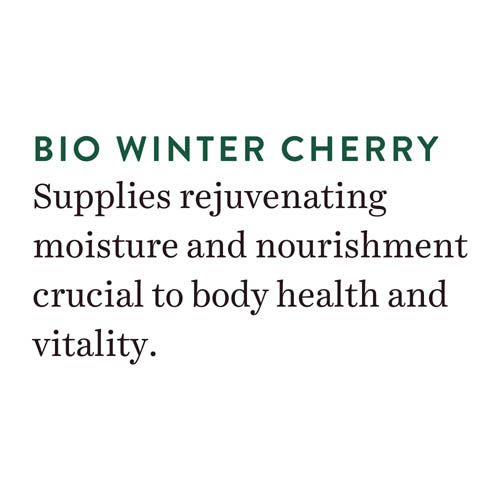 Biotique Winter Cherry Rejuvenating Body Lotion