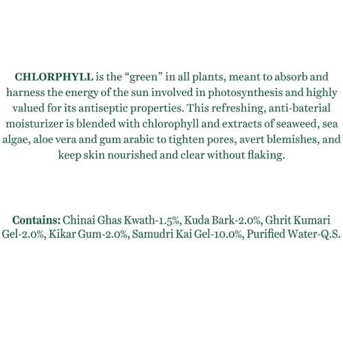 Biotique Chlorophyll Pimple Control Oil Free Anti Acne Gel - 50 gms